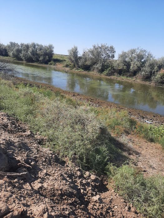 Земля пост гос акт