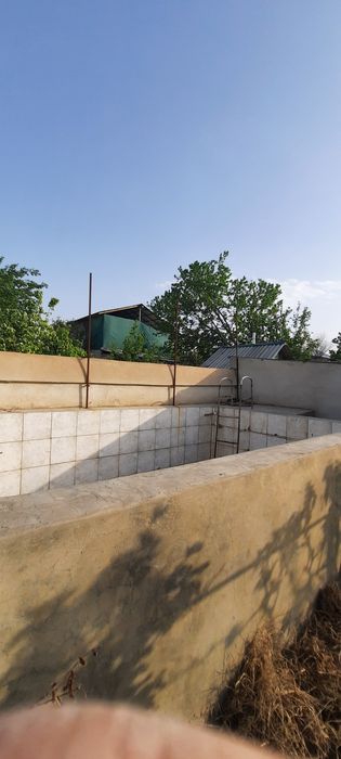 Дала ховли сотилади