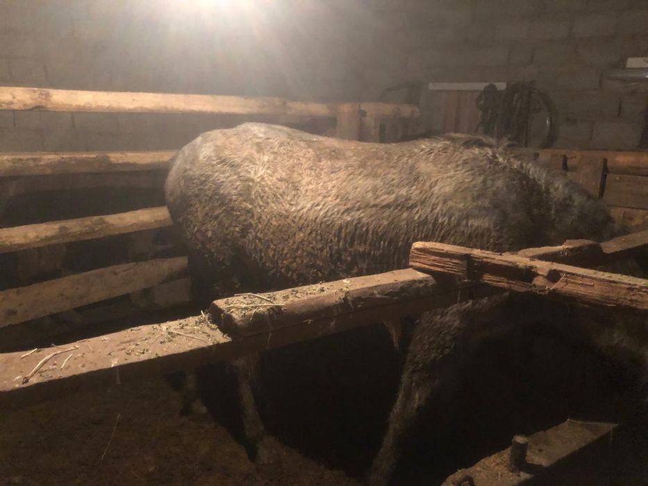 Сатылады.        .