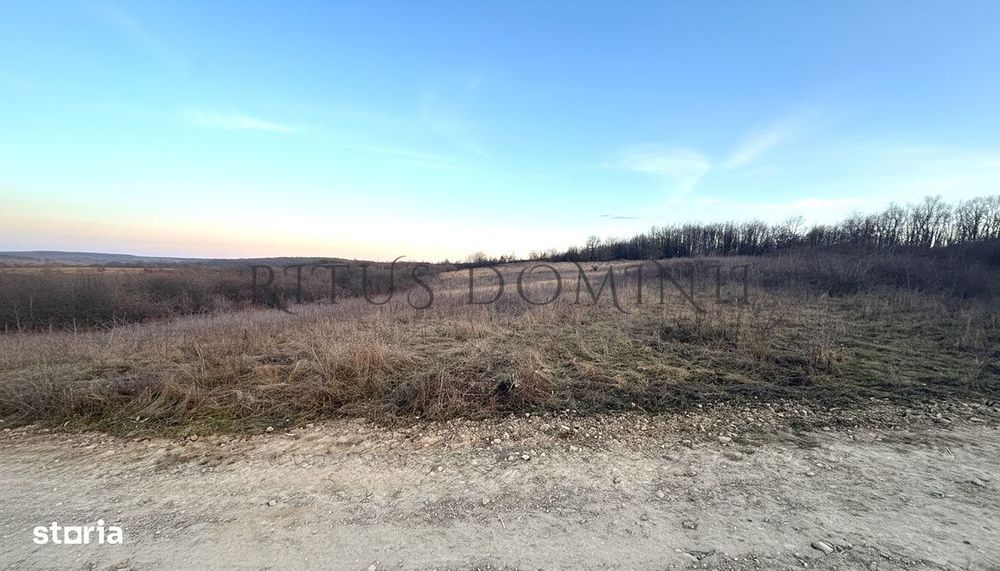 Teren Intravilan Parcelare, Lac Paleu, 8592mp, Deschidere 32ml