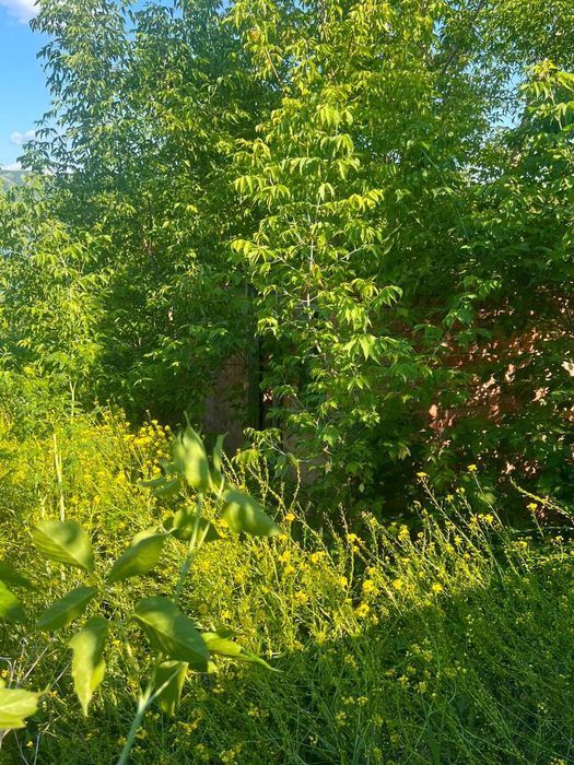 Продам дачу на 36 км, в  районе  Ермаковка возле форелевого хозяйства