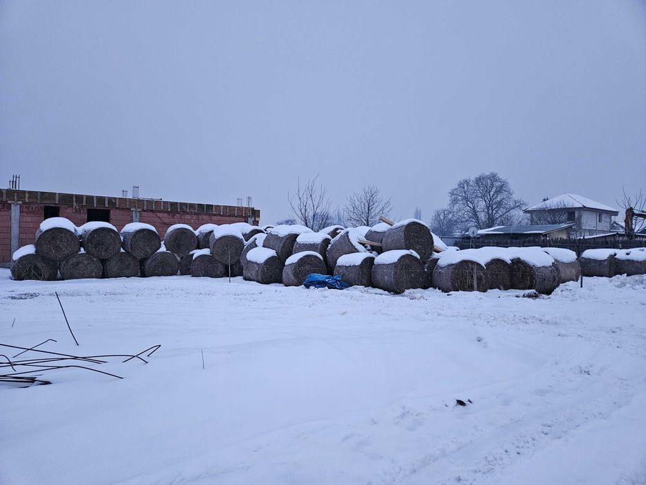 Vând baloți rotunzi de paie