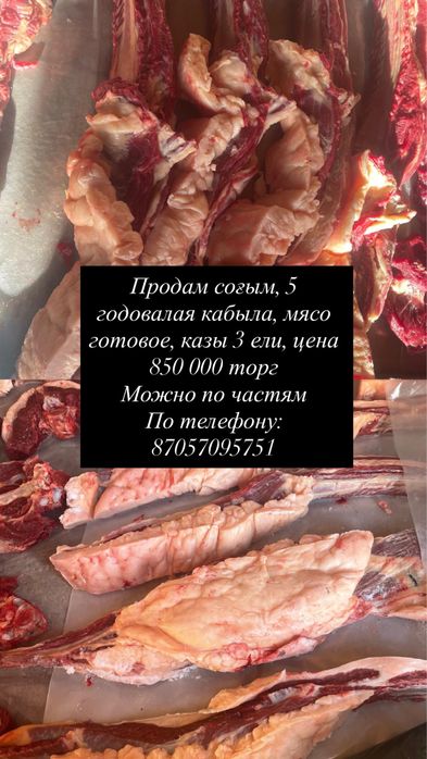 Продам согым мясо готовое