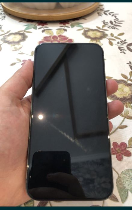 Iphone 13 pro max srochni