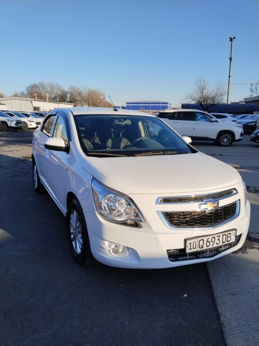 Coblt 2023 A/T gazi bor