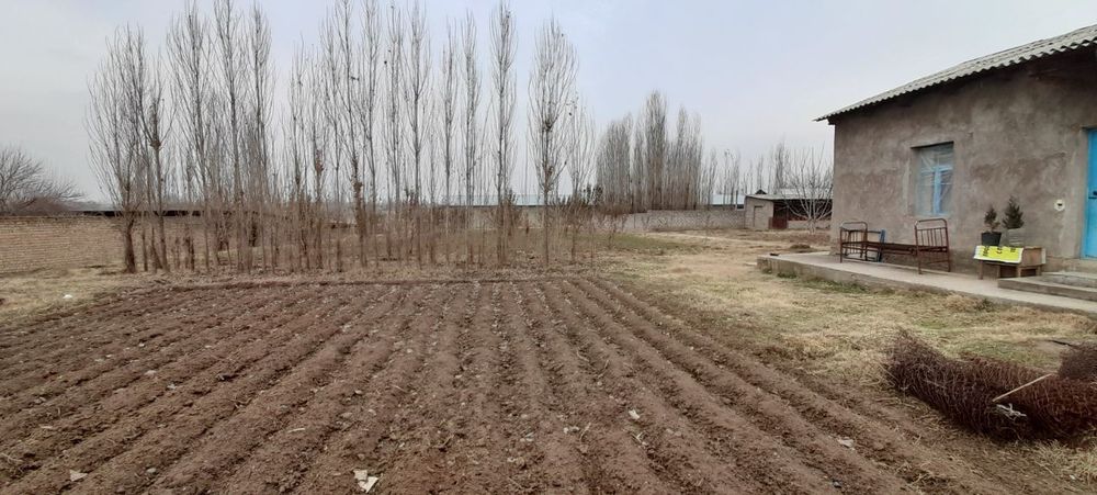 Dala hovli Ferma (45 sotix) Oldida Suv Oqib otgan