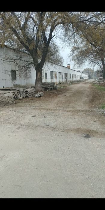 Участок. Рыбхоз.Зангиота Буз Сув 20 соток
