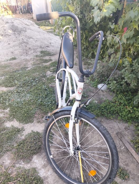 Bicicleta Pegas Stradă 1