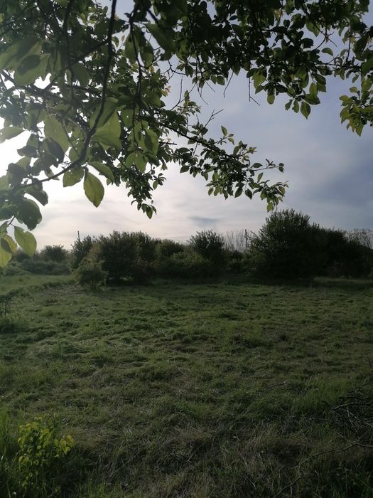 Парцел дворно място община Шабла, село Тюленово