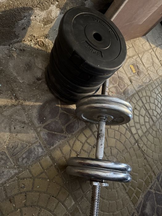 Gantera 33kg discuri