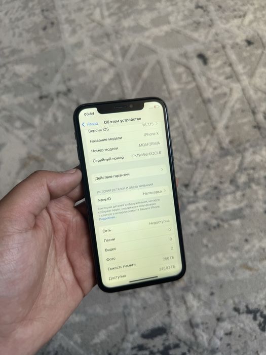 iPhone X 256gb 100%