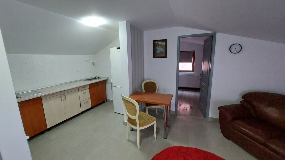 Apartament  cu un dormitor la curte  în Roman