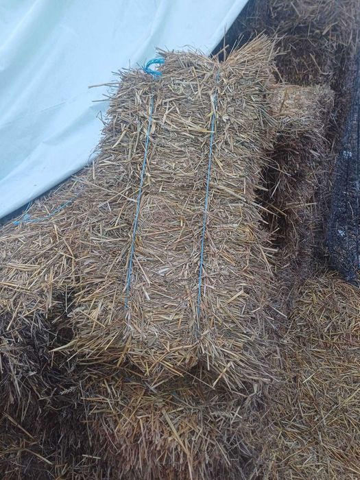 Baloti de fan, lucerna, paie si otava