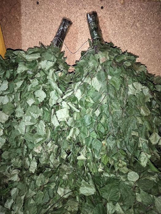Продам банные берёзовые веники