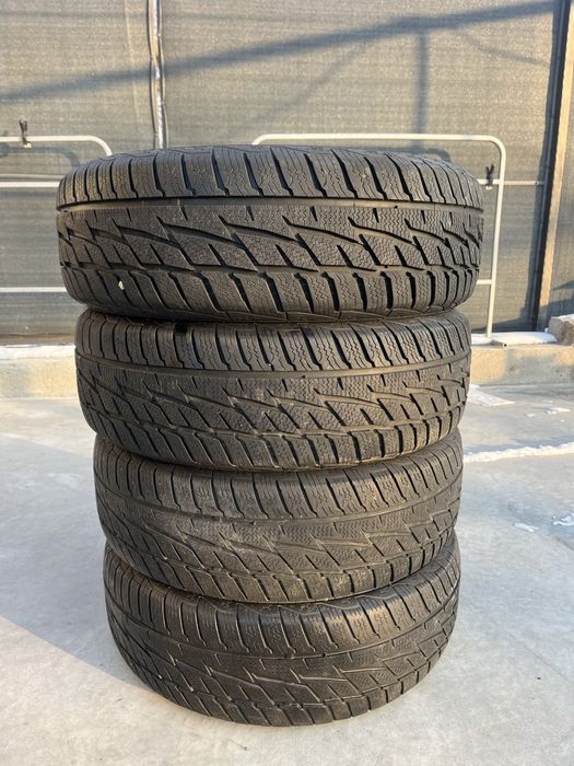 Caucicuri iarna-m+s-196/65/15