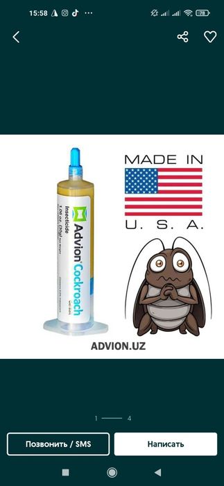 Tarakan Sichqon Kalamush dori (Amerika Russiya keladi)