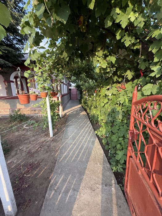 Casa de vanzare comuna Baraganul