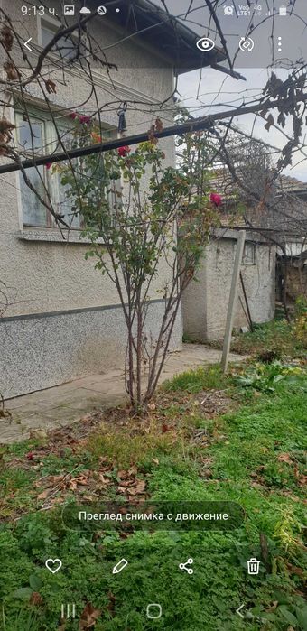 Продава се Къща в с. Макариополско, Област Търговище - 100 кв.м за 255 €/кв.м - Снимка #1