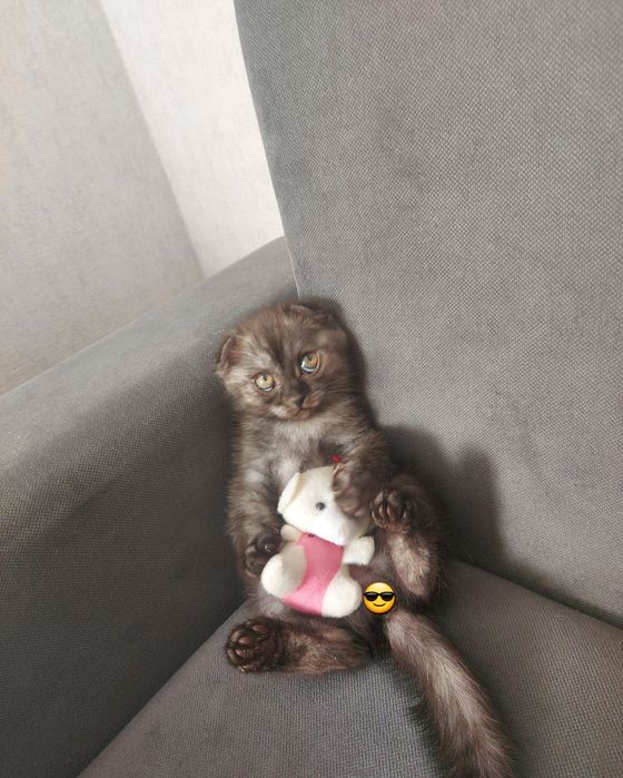 Мальчик 2 месяца