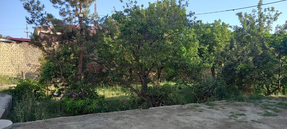 Romitan tumanidan 6 sotixli ikki qavatli Kotedj sotiladi.