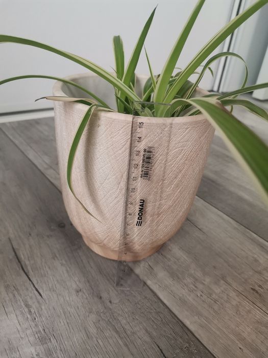 Керамична кашпа / саксия