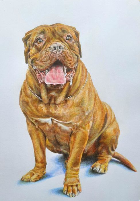 Портрет от снимка по поръчка