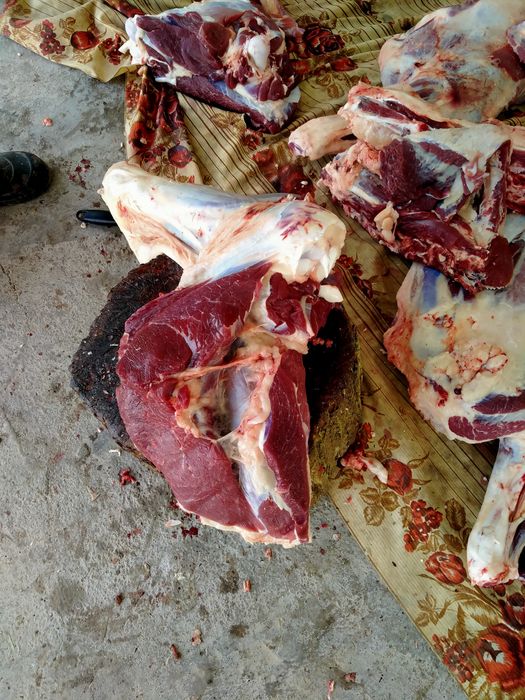 Қара мал еті бар!