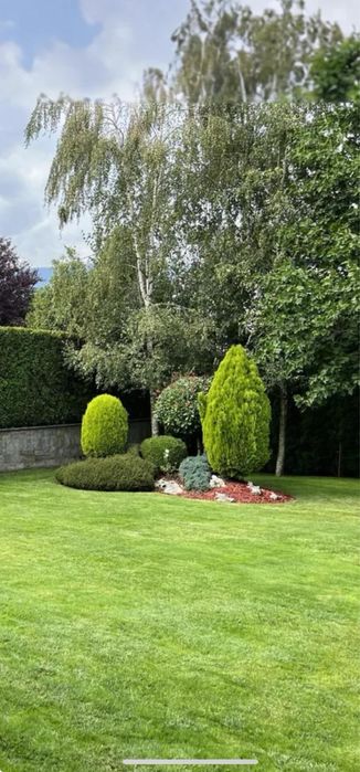 Озеленяване и поливни системи