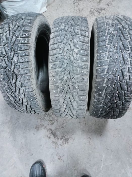 Продам ризину зима