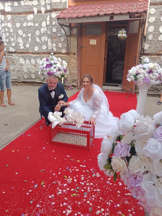 Porumbei albi pentru nunti Timișoara