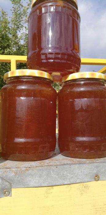 Miere rapiță, mentă, mană.