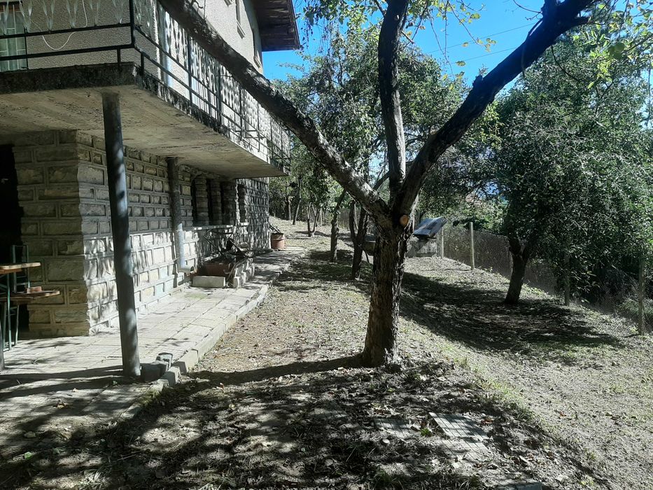 Почистване на дворове, парцели и терени в област Бургас