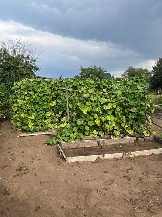 Продам дачу 6 соток