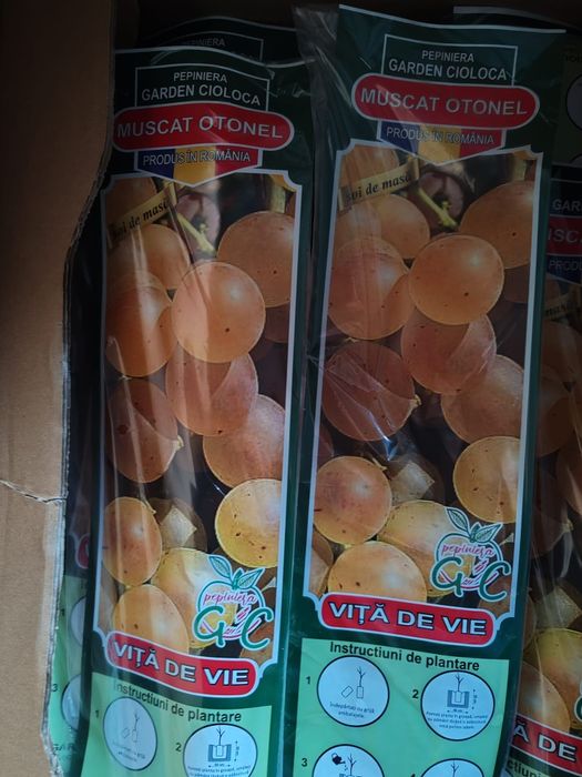 Vita de vie ambalata