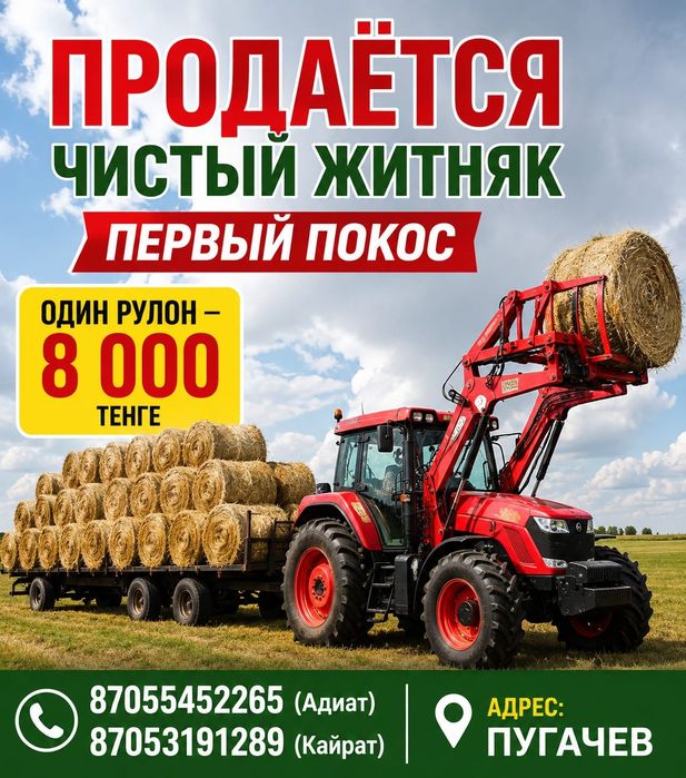 Продаётся жетняк сено