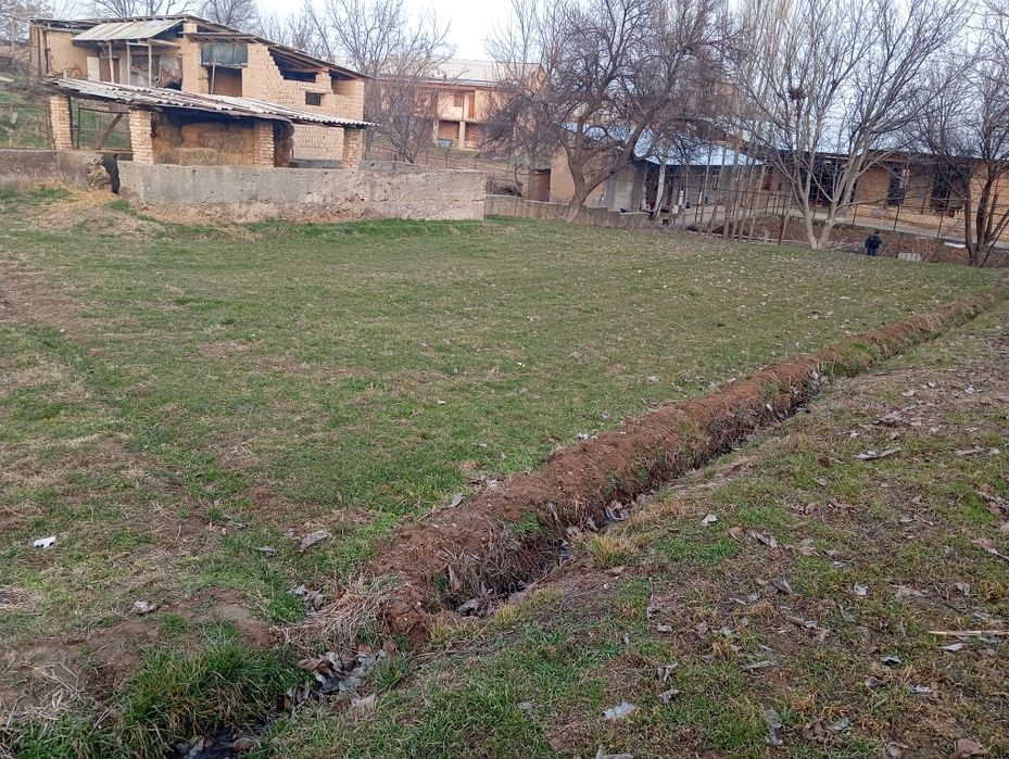 Yer uchastka sotiladi 6  sotixdan oshiq