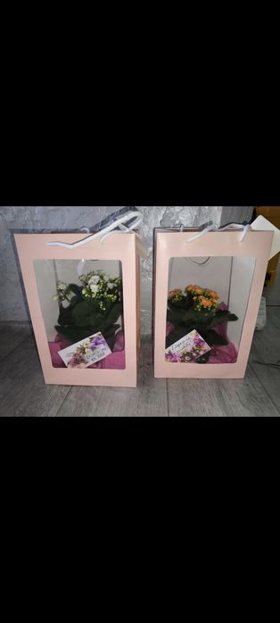 Цветы на подарки в  ассортименте