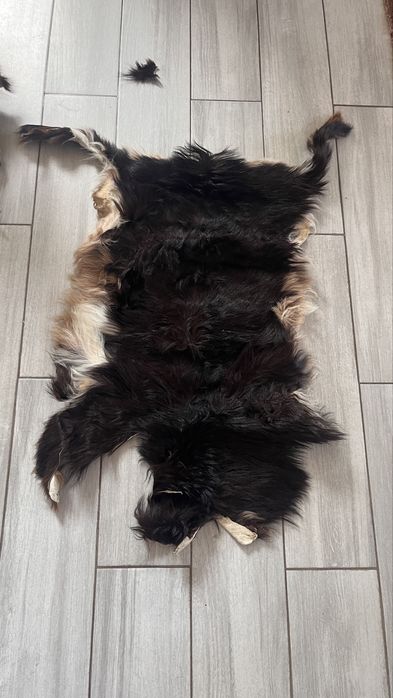 Blanuri de capra si oaie