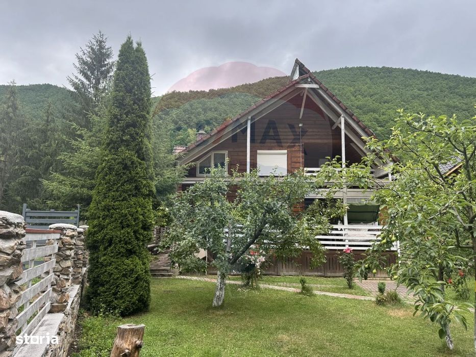 Cabana autentica de munte Frasinet - Baisoara 600 mp teren