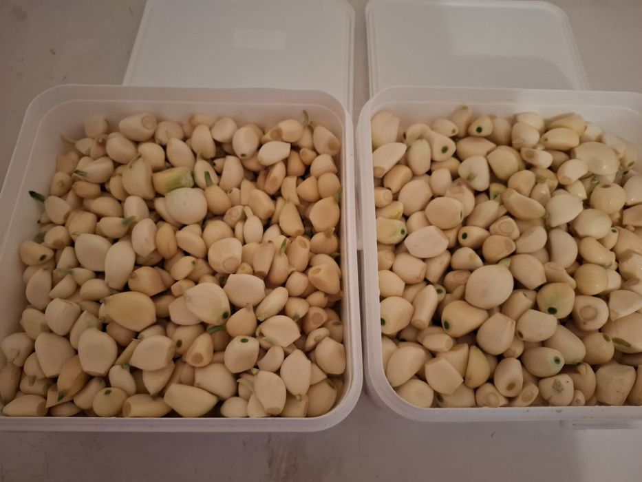 Vând usturoi curățat si pasta de usturoi