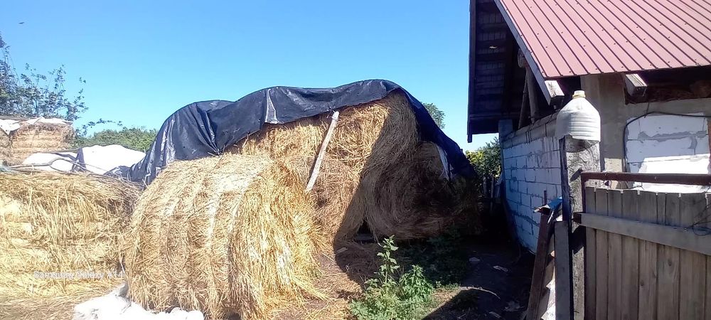 Baloți rotunzi 150