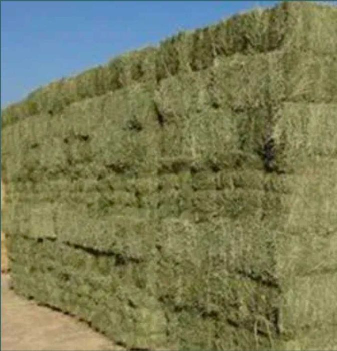 Vand baloti de Lucerna si fan