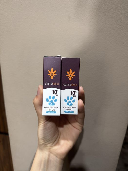 CBD масло за домашни любимци
