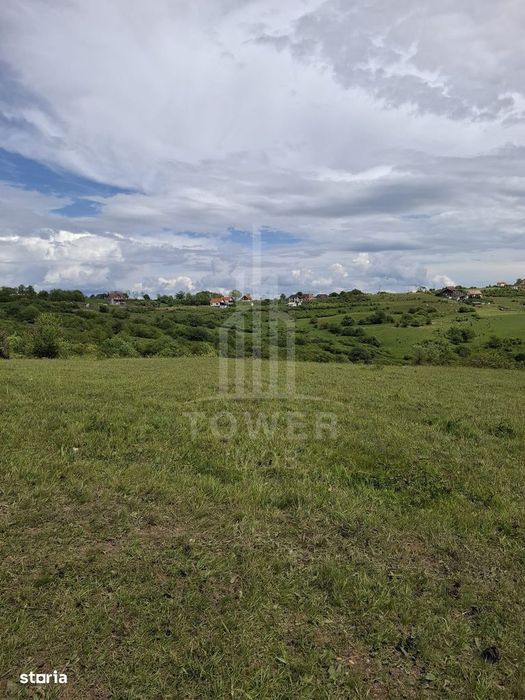 De vanzare, teren 11.500 mp – Dealul Dăii,  Vedere panoramică spre mun