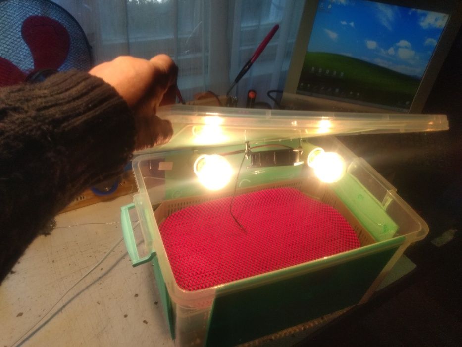 Инкубатори (български)