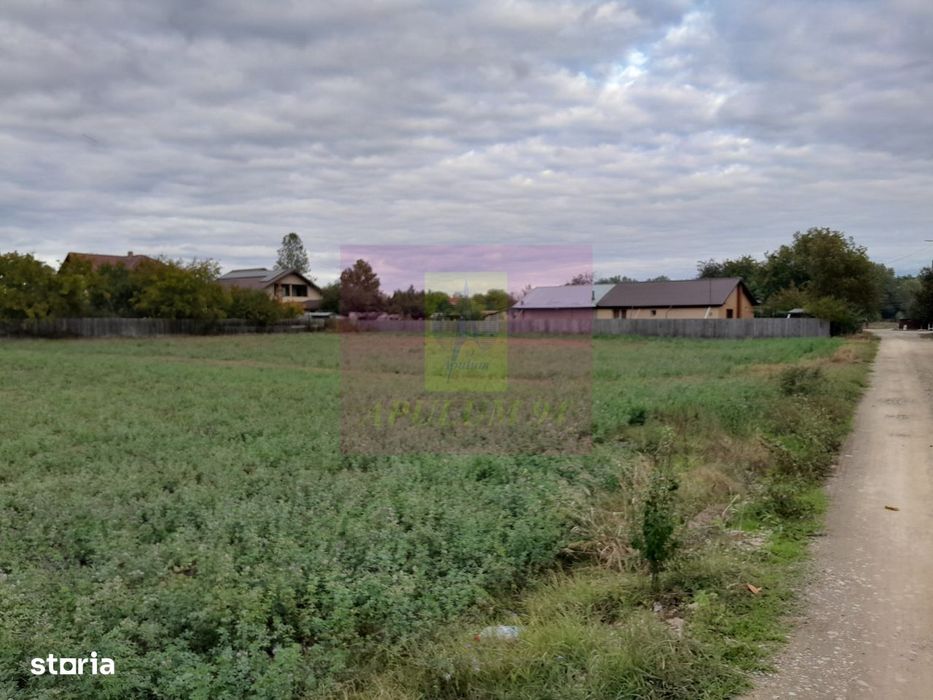 Cosereni (Il) - Se Vinde Teren 2000 Mp La Sos Bucuresti -Urziceni