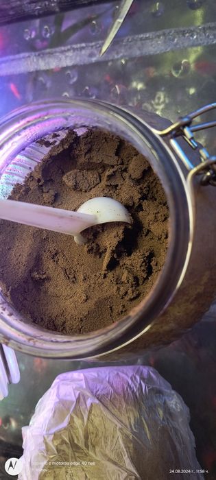 Артемия за люпене