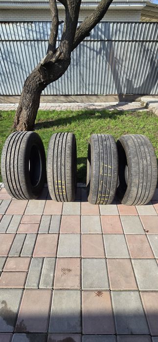 Continental EcoContact 6. Шины.