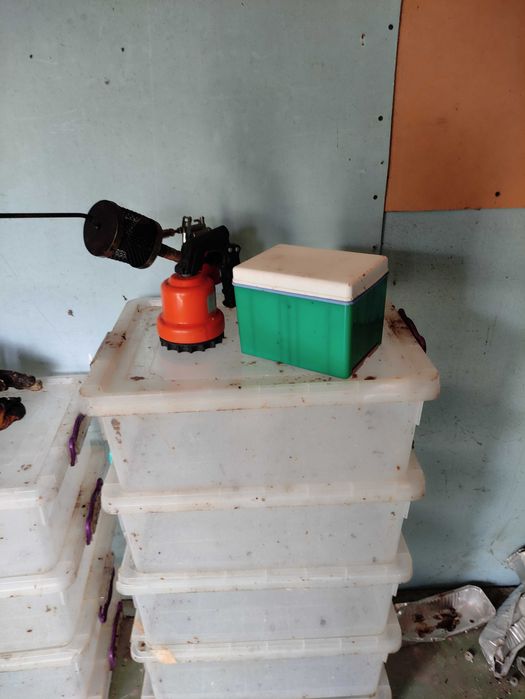 Пчелни семейства, кошери и инвентар