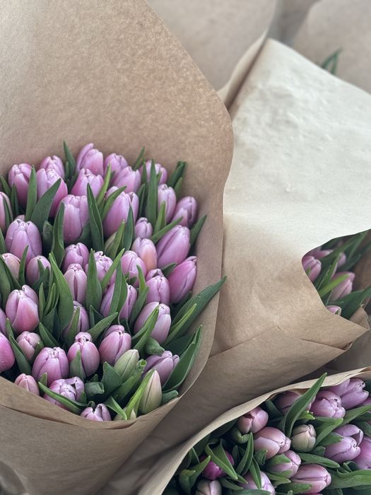 Тюльпаны круные